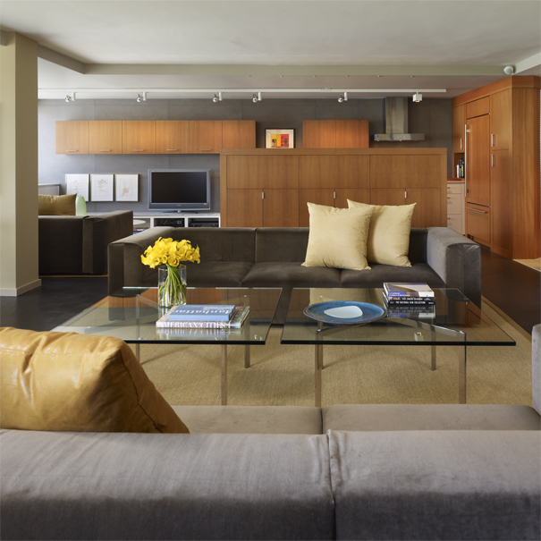 Watergate apartment renovation in Washington, DC by Georgetown Architect and Interior Design firm Studio Santalla