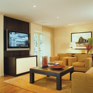 Soft Modern and contemporary living room with media center