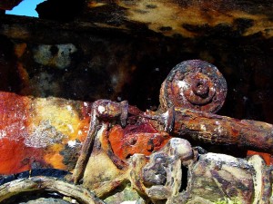 Culebra II color photograph by Washington, DC architect and interior designer Ernesto Santalla documenting nature's reclamation of an aging battle tank stranded on a beach in Puerto Rico