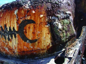 Culebra VII color photograph by Washington, DC architect and interior designer Ernesto Santalla documenting nature's reclamation of an aging battle tank stranded on a beach in Puerto Rico