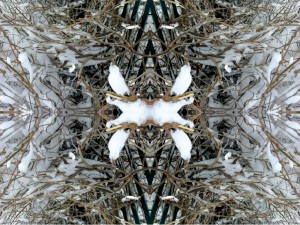 Fourth Impressions VIII color photography collage by architect Ernesto Santalla celebrating winter snow in Washington, DC