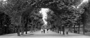 Garten black and white photograph by Ernesto Santalla